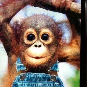 Meet your Posher, Sharon